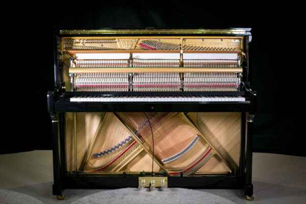 Wilh. Steinberg P-125E New Upright German Acoustic Piano (P125E / P 125E / Wilh.Steinberg / WilhSteinberg) - Image 2