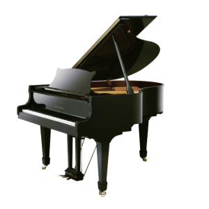Wilh. Steinberg P178 New Acoustic German Grand Piano (P-178 / P 178 / Wilh.Steinberg / WilhSteinberg)