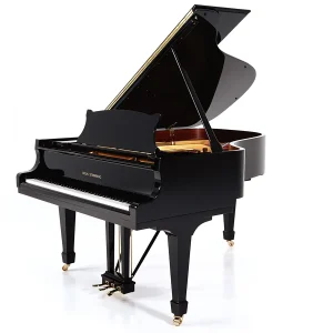 Wilh.Steinberg P-187 – Masterpiece German Acoustic Grand Piano